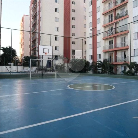 Foto REO1113441