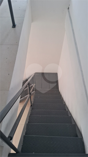 Foto REO1113448