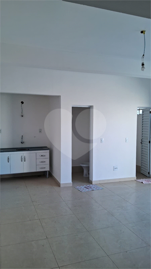 Foto REO1113448