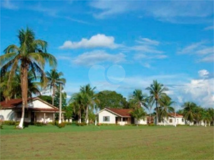 Foto REO1113452