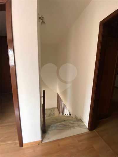 Foto REO1113465