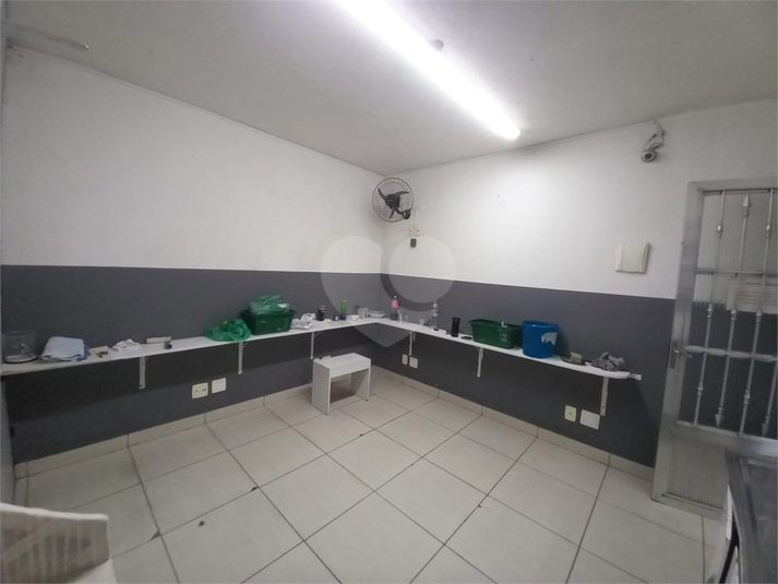 Foto REO1113466