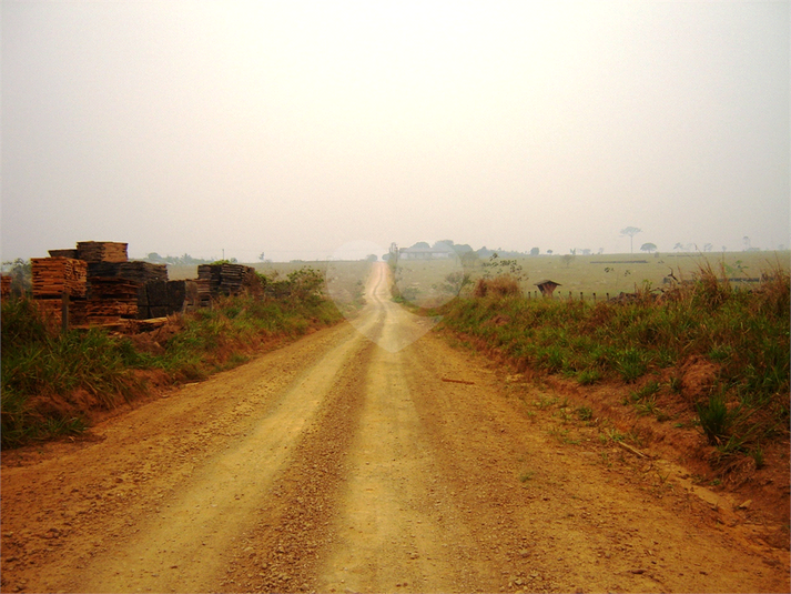 Foto REO1113467
