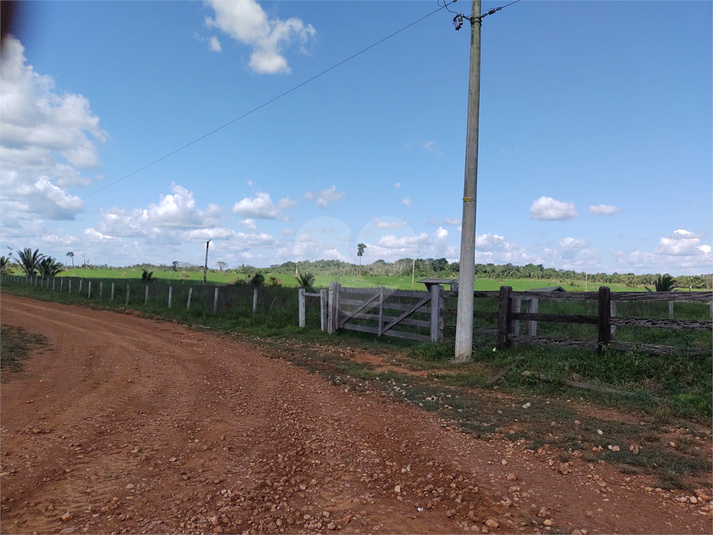 Foto REO1113467