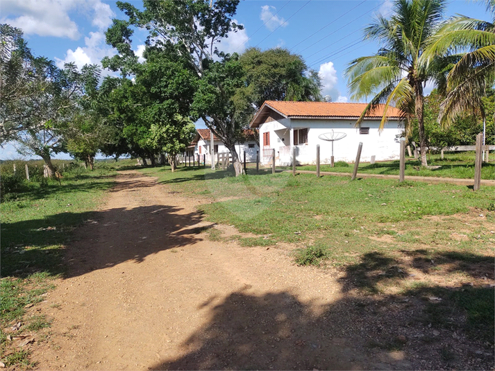 Foto REO1113467
