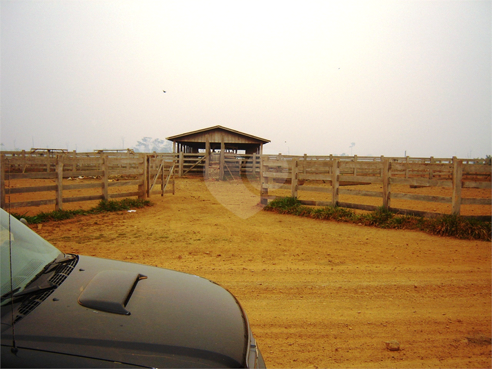 Foto REO1113467