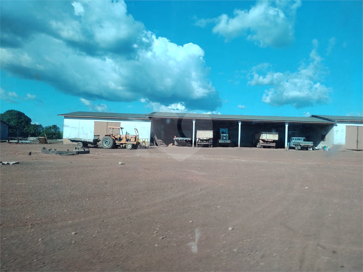 Foto REO1113467