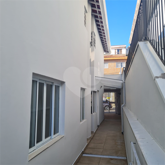 Foto REO1113473