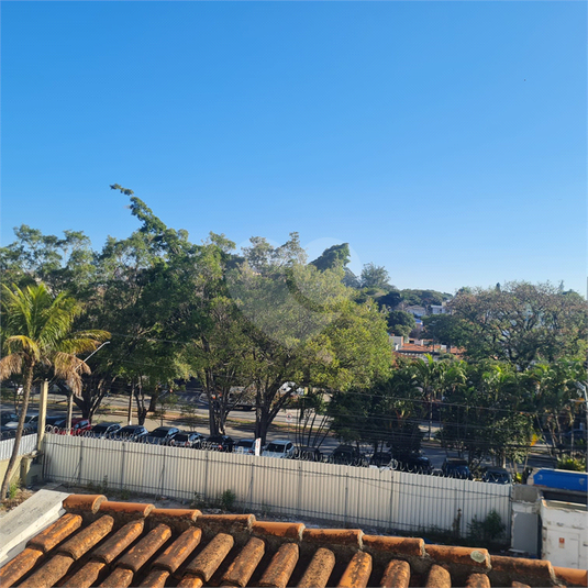Foto REO1113473
