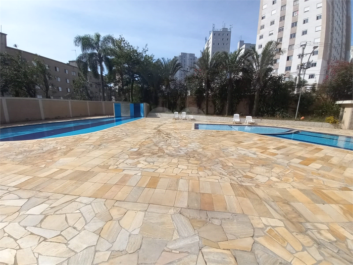 Foto REO1113474