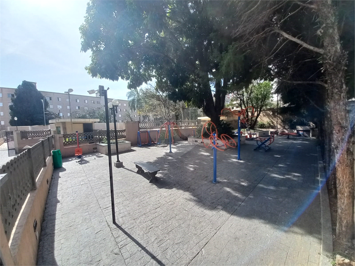 Foto REO1113474