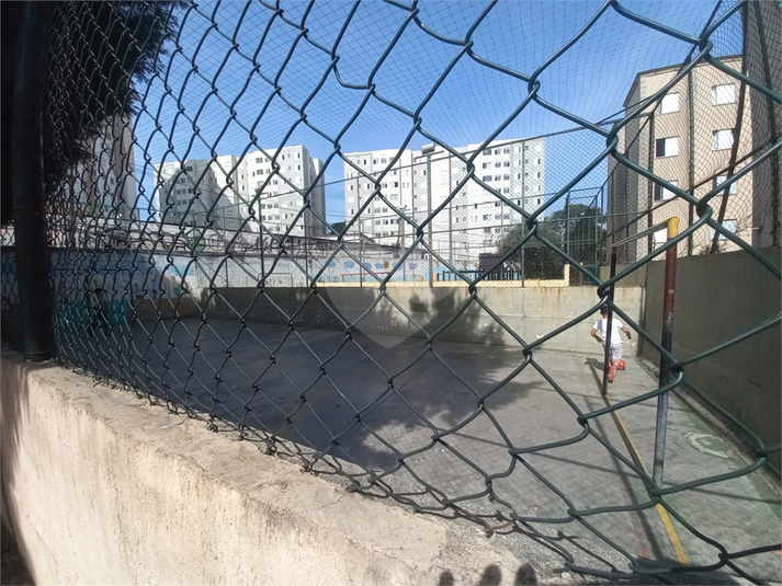 Foto REO1113474