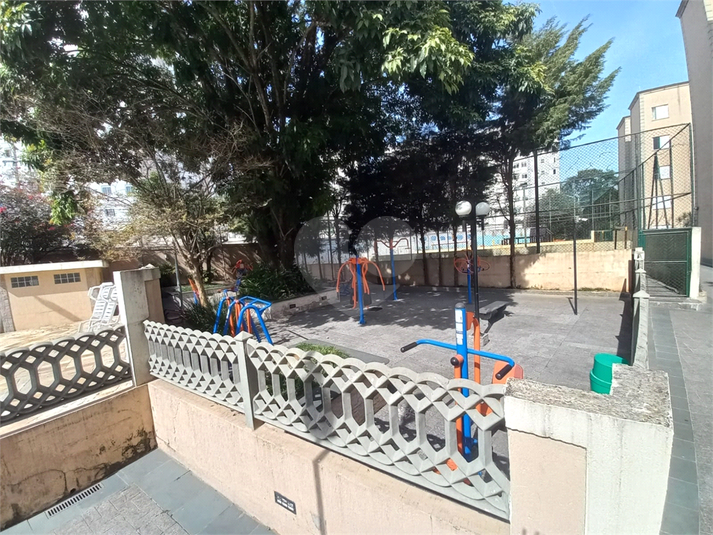 Foto REO1113474