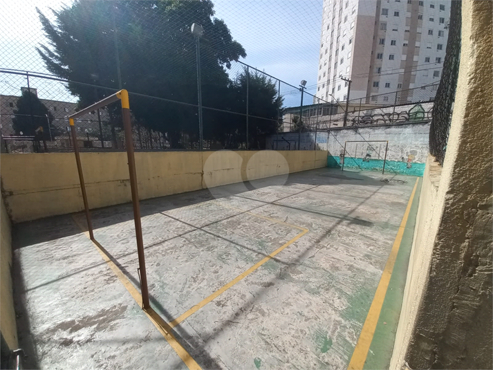 Foto REO1113474