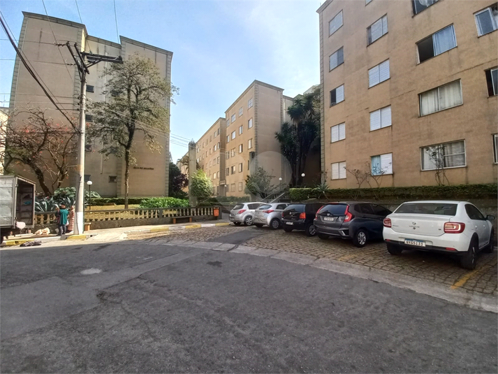 Foto REO1113474