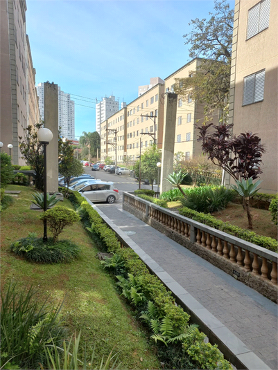 Foto REO1113474