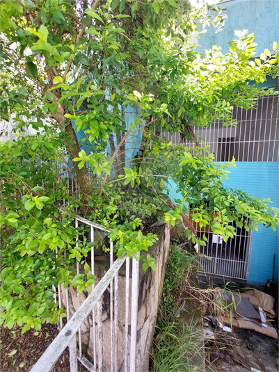 Foto REO1113475