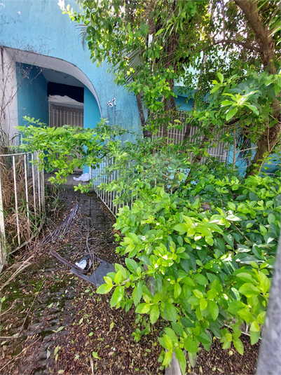 Foto REO1113475