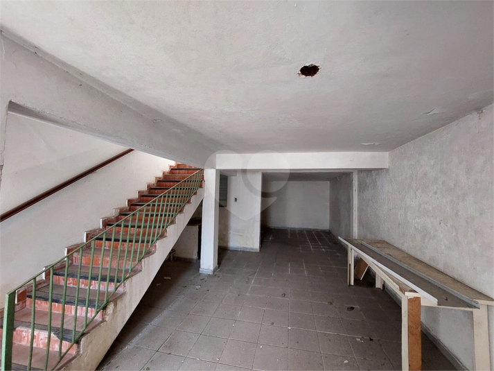 Foto REO1113475