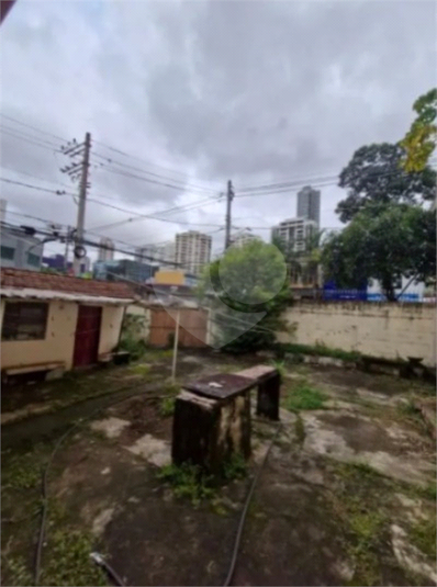 Foto REO1113484