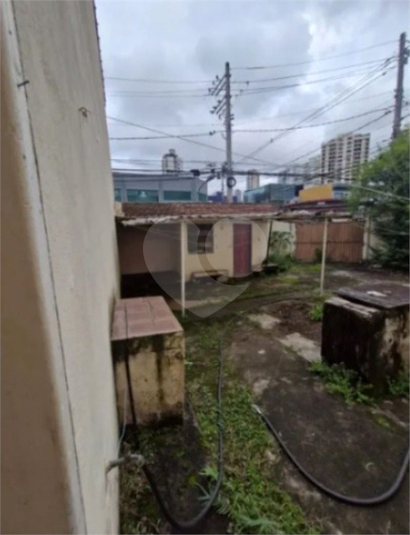 Foto REO1113484