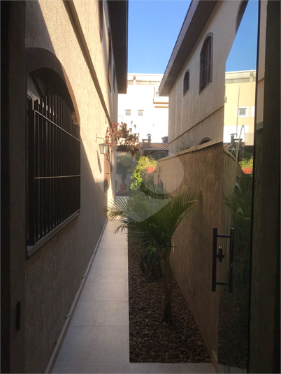 Foto REO1113487