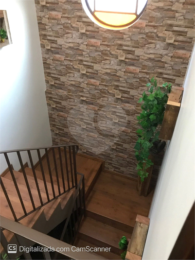 Foto REO1113487