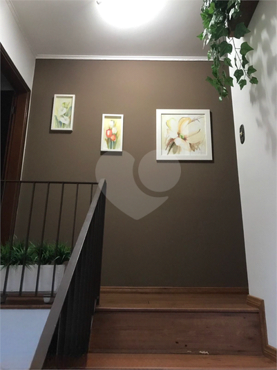 Foto REO1113487