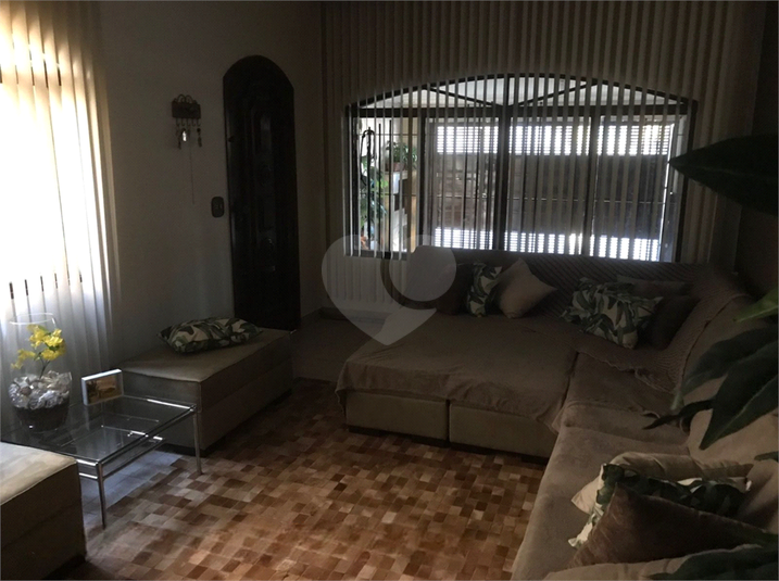 Foto REO1113487