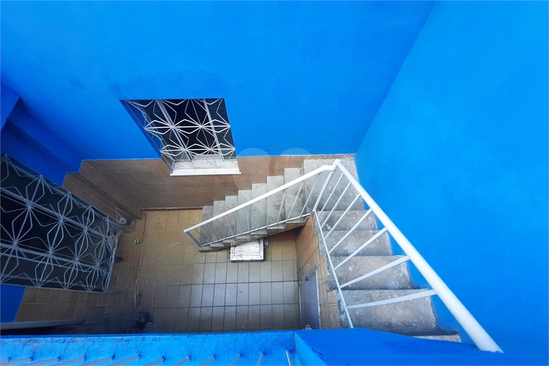 Foto REO1113488