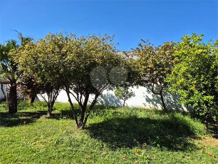 Foto REO1113490