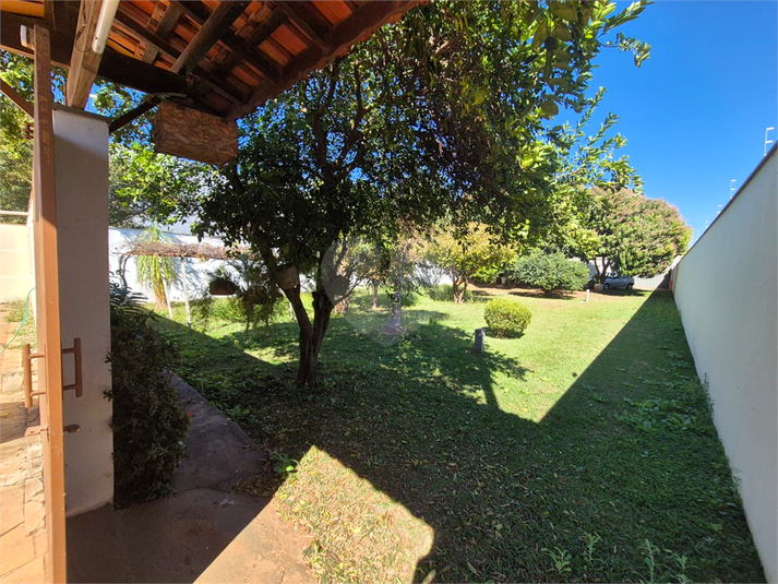 Foto REO1113490