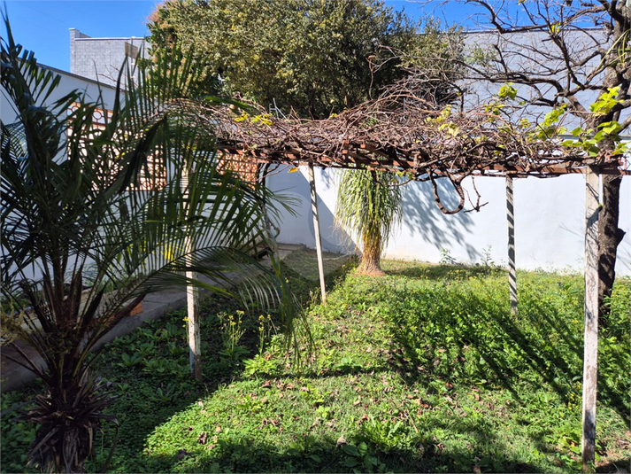 Foto REO1113490