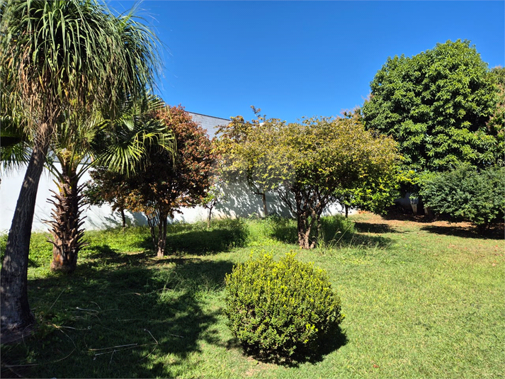 Foto REO1113490
