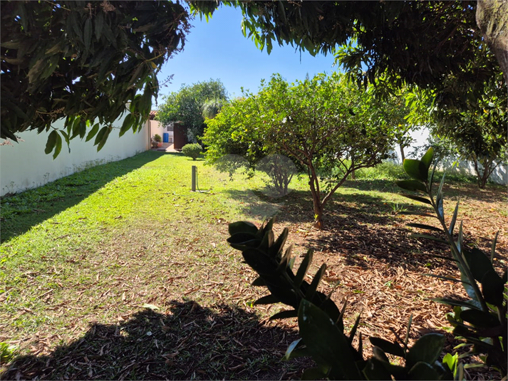 Foto REO1113490