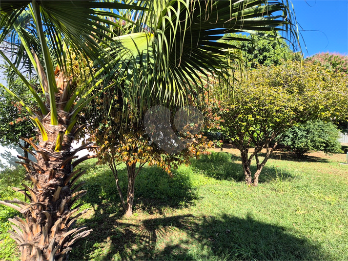 Foto REO1113490