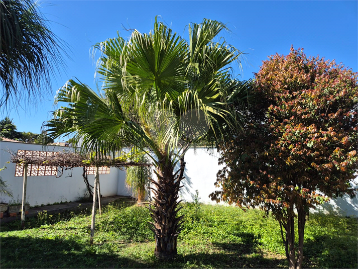 Foto REO1113490