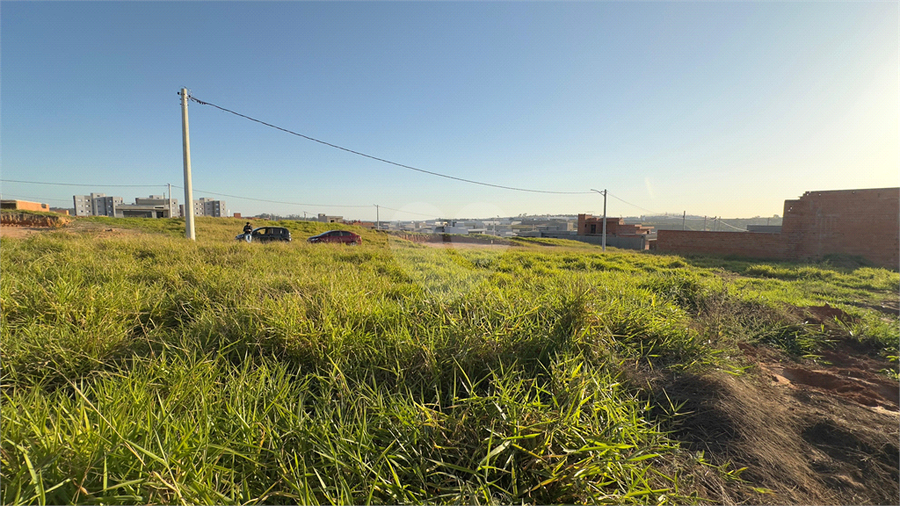 Foto REO1113496