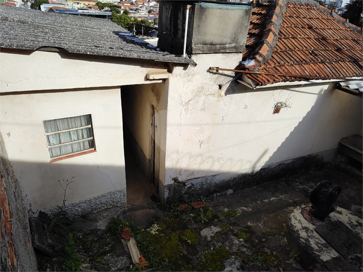 Foto REO1113501