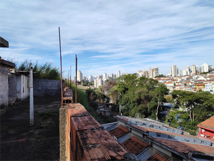 Foto REO1113501