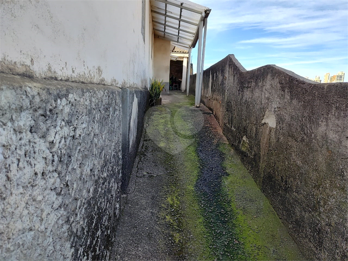 Foto REO1113501
