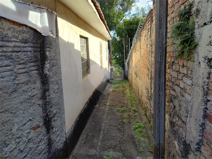 Foto REO1113501