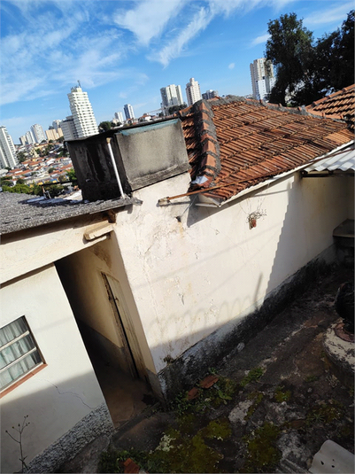 Foto REO1113501
