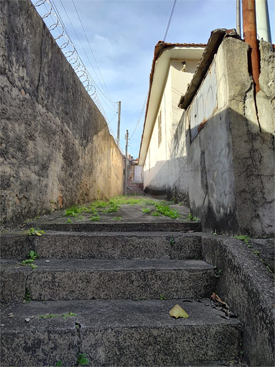 Foto REO1113501