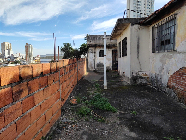 Foto REO1113501