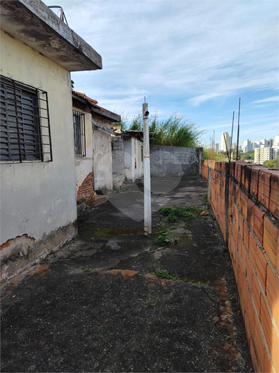 Foto REO1113501