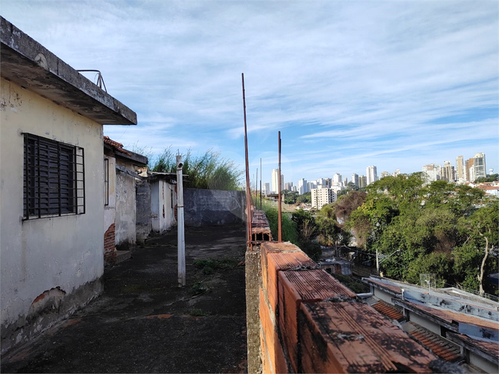 Foto REO1113501