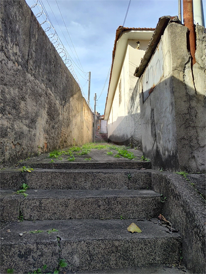 Foto REO1113501