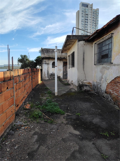 Foto REO1113501