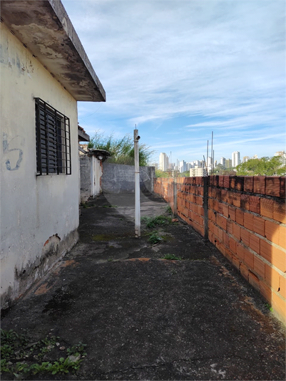 Foto REO1113501